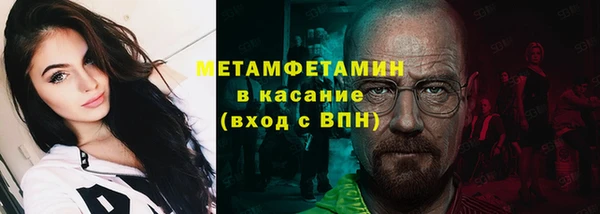 гидра Покачи