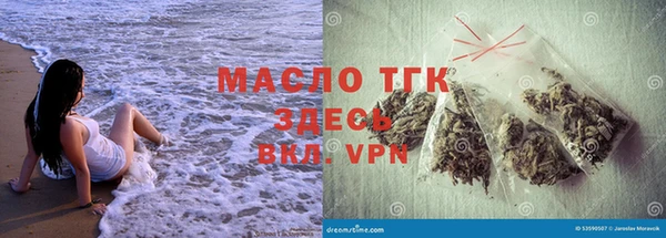 гидра Покачи