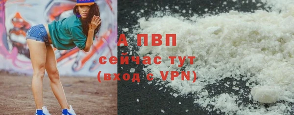 гидра Покачи