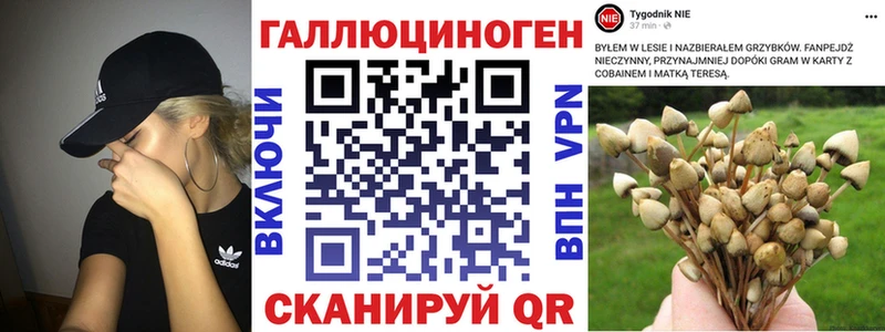 мега зеркало  Сланцы  Псилоцибиновые грибы мухоморы 