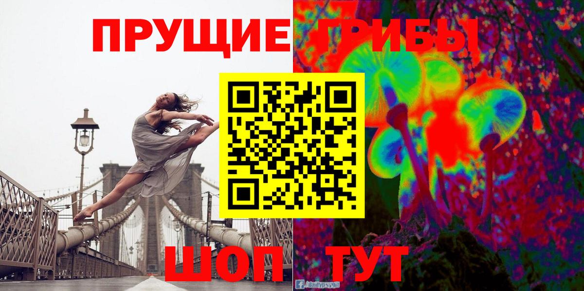 Галлюциногенные грибы прущие грибы Сланцы