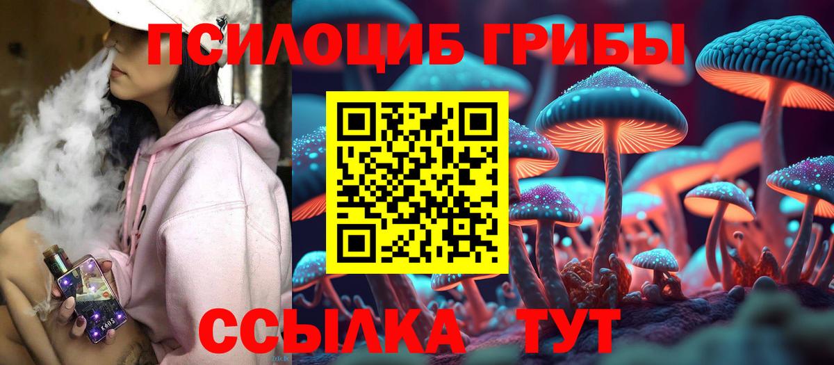 Галлюциногенные грибы мухоморы Сланцы