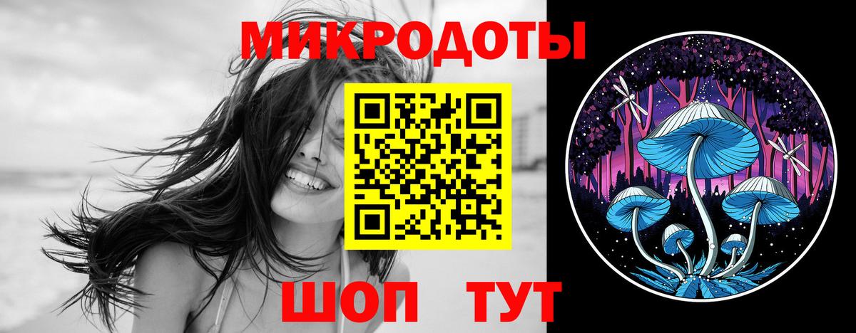 Сланцы  Псилоцибиновые грибы прущие грибы  Вход с VPN  хочу наркоту  Галлюциногенные грибы Psilocybe 